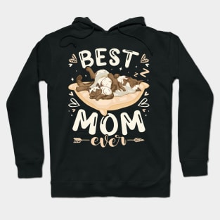 Best Mom Ever Mother Siamese Cat 2 Kittens Mother'S Day Hoodie